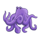 Octopus under the sea