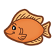 Orange Fish under the sea