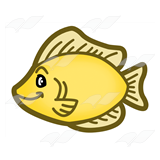 Yellow Fish