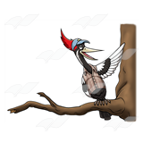 Singing Woodpecker
