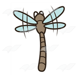 Brown Dragonfly
