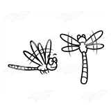 Two Brown Dragonflies