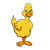 Duck Color PNG