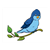 Blue Bird 2 Color PDF