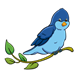 Blue Bird 2 