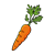 Carrot 2 Color PNG