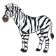 Zebra 2 