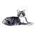 Striped Cat Color PNG