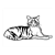 Striped Cat Line PDF