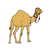 Camel 2 Color PDF