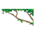 Tree Branches Color PDF