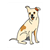 Spotted Dog Color PDF