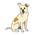 Spotted Dog Color PNG