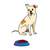 Spotted Dog Color PDF