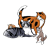 Cats Color PNG