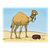 Camel in Desert Color PDF