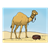 Camel in Desert Color PNG