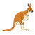 Kangaroo Color PNG