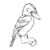 Kookaburra Line PDF