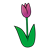 Purple Tulip Color PNG