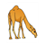 Camel Color PDF