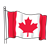 Canadian Flag 1 Color PNG