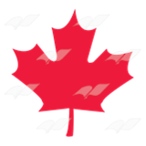 Canadian Maple Leaf 1
