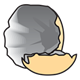 Broken Egg Shell 