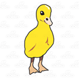 Standing Yellow Duckling