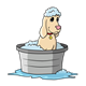 Dog Sitting in Tub 