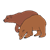Two Brown Bears Color PNG
