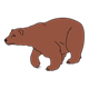 Dark Brown Bear with claws