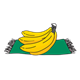 Bunch of Bananas on a green placemat
