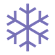 Snowflake small with purple spines