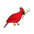 Red Cardinal Color PDF