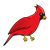 Red Cardinal Color PNG