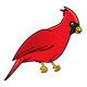 Red Cardinal 