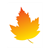 Maple Leaf Color PDF