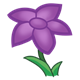 Star Flower purple