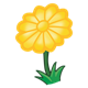 Yellow Flower with twelve petals