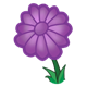 Purple Flower with twelve petals