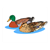 Duck Parents Color PDF