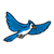 Flying Blue Jay Color PDF