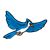 Flying Blue Jay Color PNG