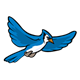 Flying Blue Jay 
