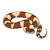 Brown Python Color PDF