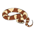 Brown Python Color PNG
