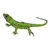 Green Lizard Color PDF