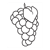 Plump Grape Cluster Line PDF