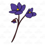 Long-Stemmed Purple Flowers